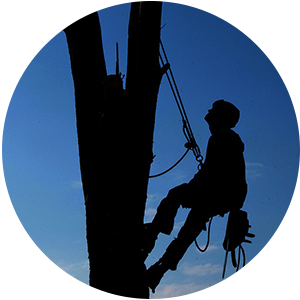 dacharbeiten-münchen